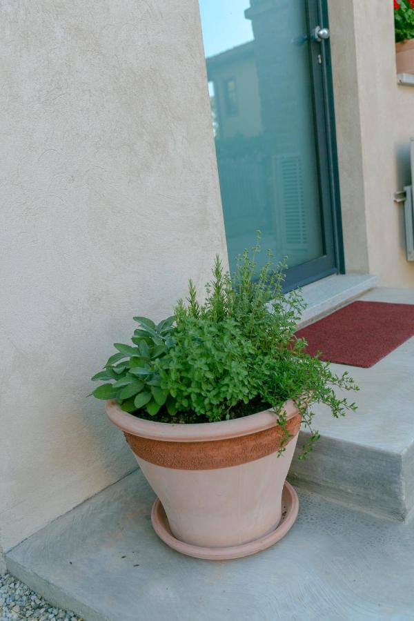 Al Centro Del Borgo Apartment Guarene Bagian luar foto